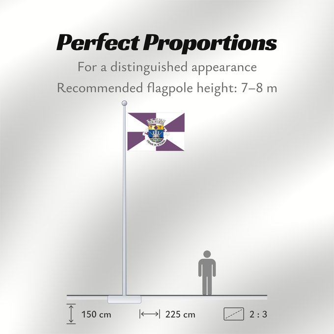 Flag Proportions: Setúbal