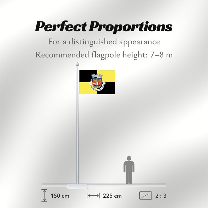 Flag Proportions: Viana do Castelo