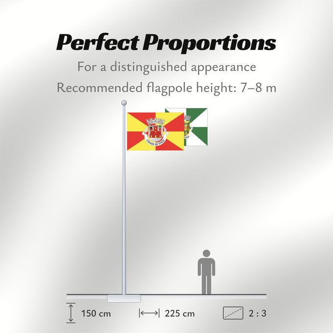 Flag Proportions: Viseu