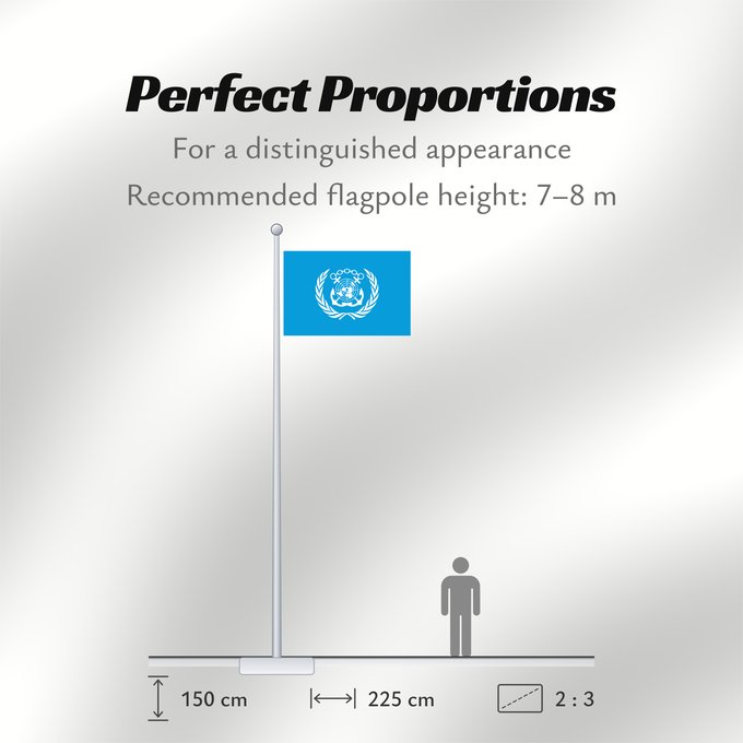 Flag Proportions: International Maritime Organization