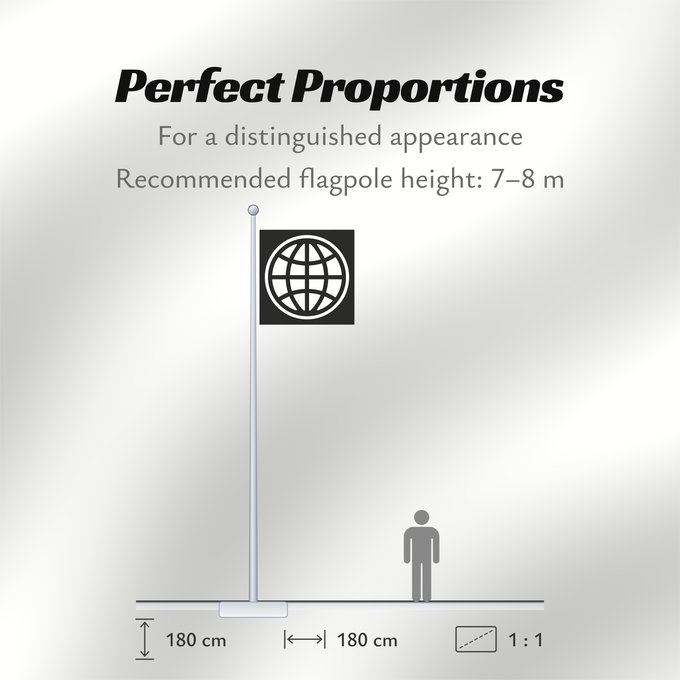 Flag Proportions: The World Bank Group