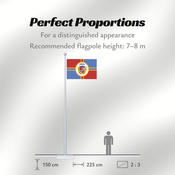 Flag Proportions: Flores Department	Flores