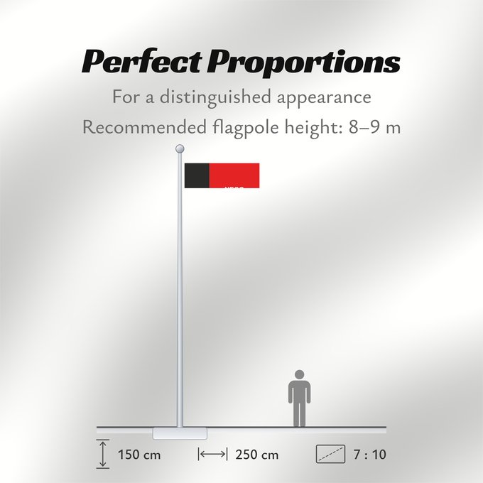 Flag Proportions: Paraíba