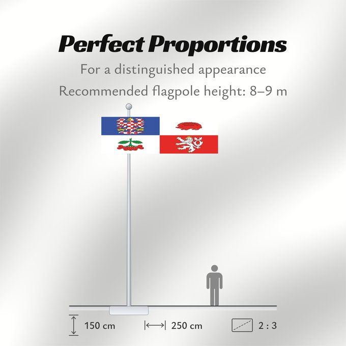 Flag Proportions: Vysocina Region	Vysočina Region	Région de Vysočina	Región de Vysočina	Region Vysočina