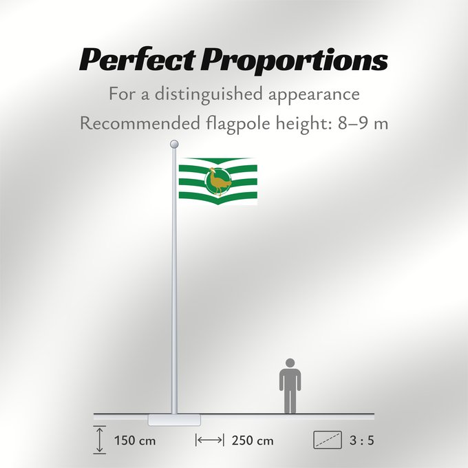 Flag Proportions: Windsor and Maidenhead
