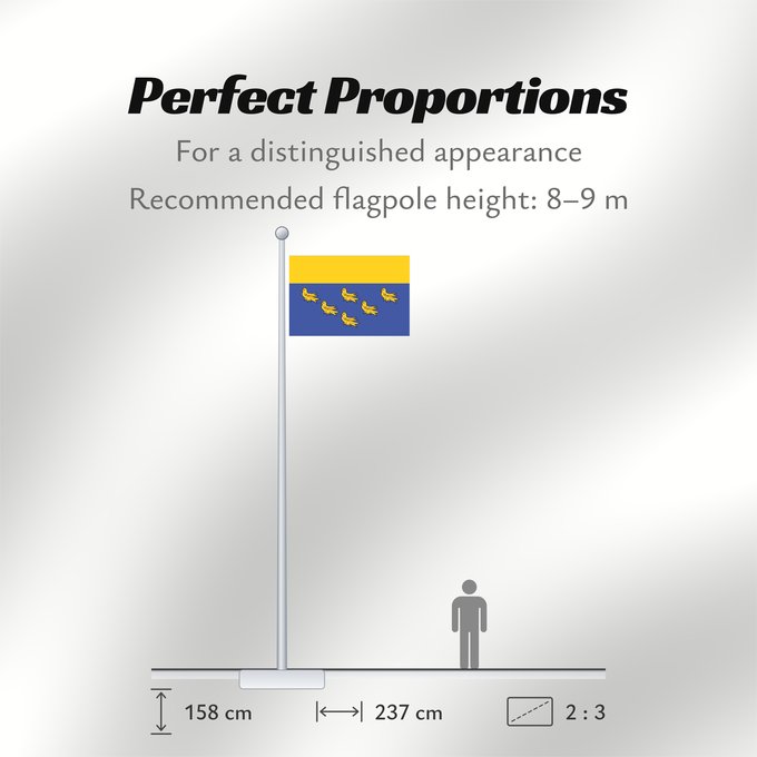 Flag Proportions: West Sussex