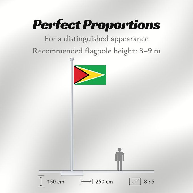 Flag Proportions: Guyana Guiana Wayana wiphala Gujano Gwayana Wayana unancha Флаг Гайаны Guyanas Quốc kỳ Guyana