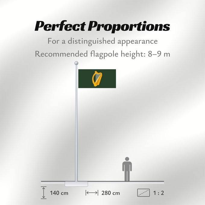 Flag Proportions: Leinster W Leinster