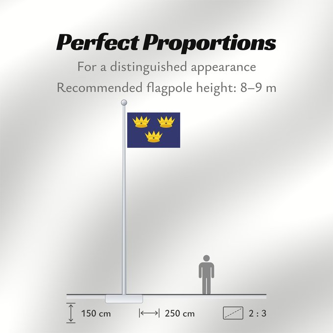 Flag Proportions: Munster