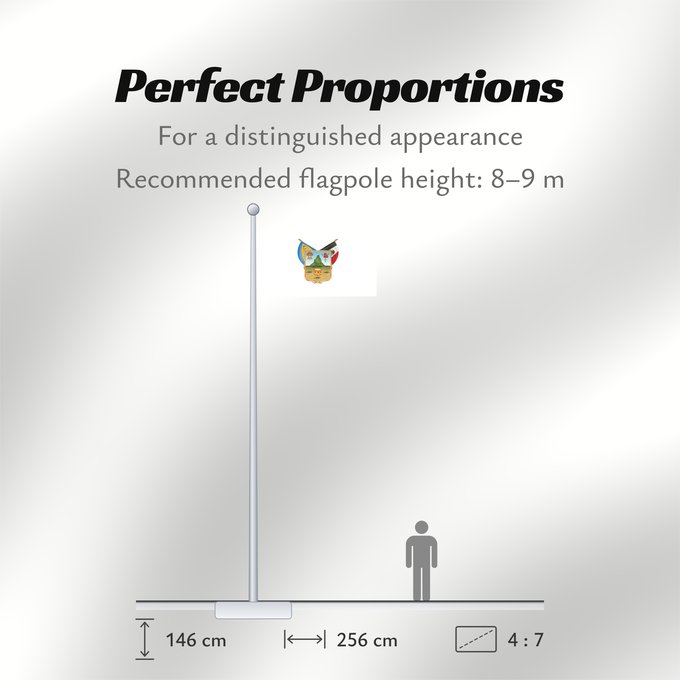 Flag Proportions: Hidalgo hidalgo y fidalgo