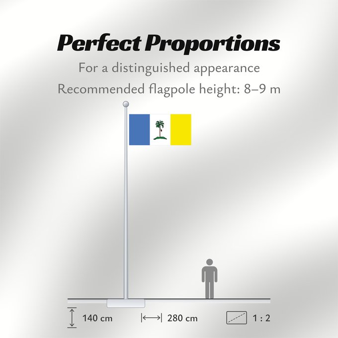 Flag Proportions: Pulau Pinang