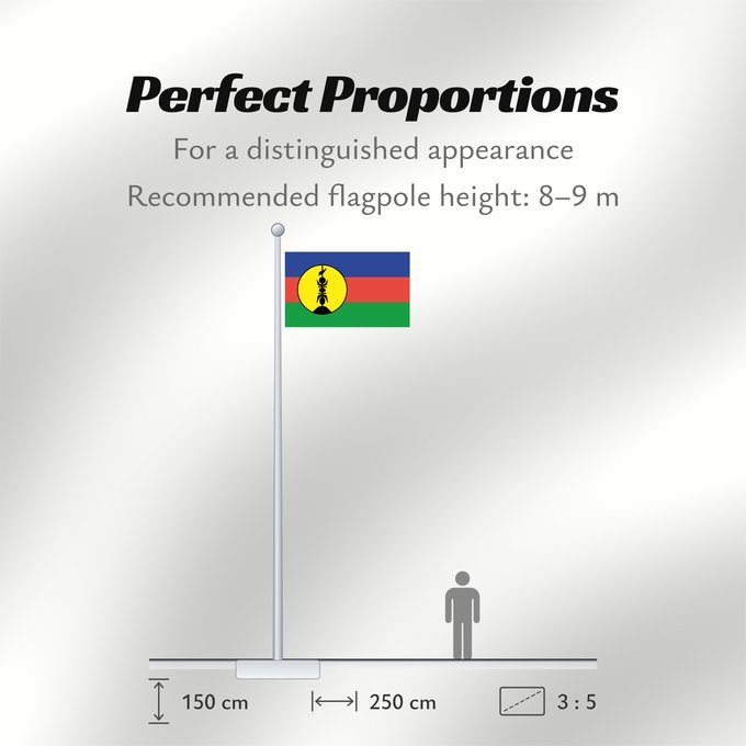Flag Proportions: FLNKS Kanak and Socialist National Liberation Front political party Front de libération nationale kanak et socialiste Colores Pantone http //www Neukaledonien Nuova Caledonia Front d Alliberament Nacional Canac Socialista