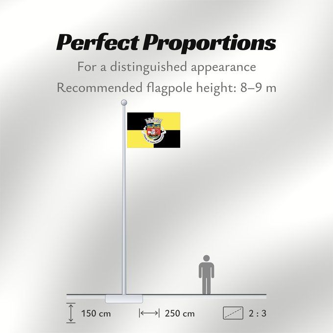 Flag Proportions: Viana do Castelo