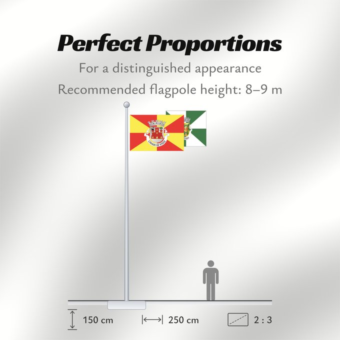Flag Proportions: Viseu