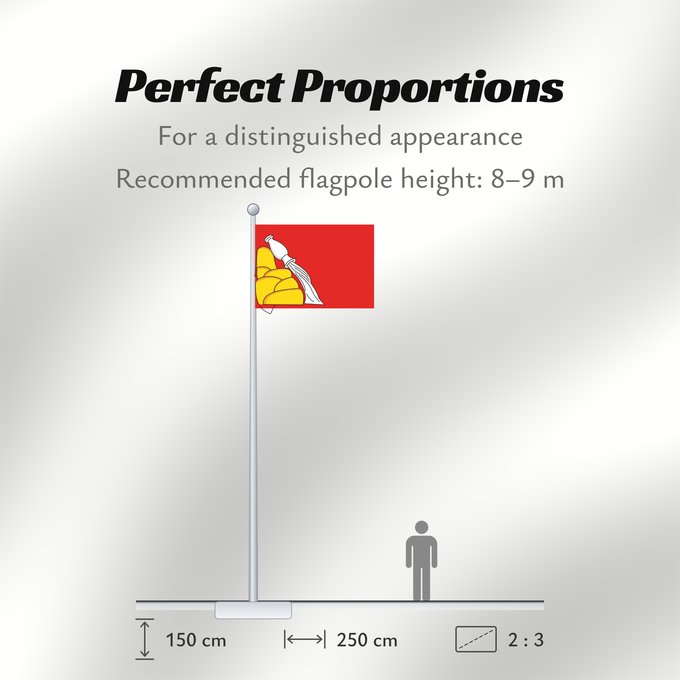 Flag Proportions: Voronezh Oblast Voronezh Oblast of Russia Oblast de Voronej Óblast de Vorónezh Oblast Woronesch Флаг Воронежской области Россия Прапор Воронезької області Росія