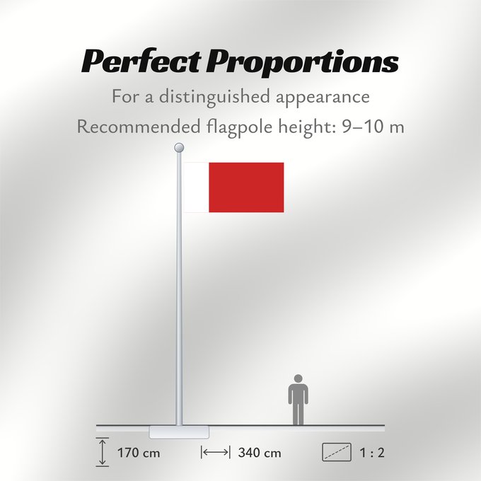 Flag Proportions: Dubai	Dubaï