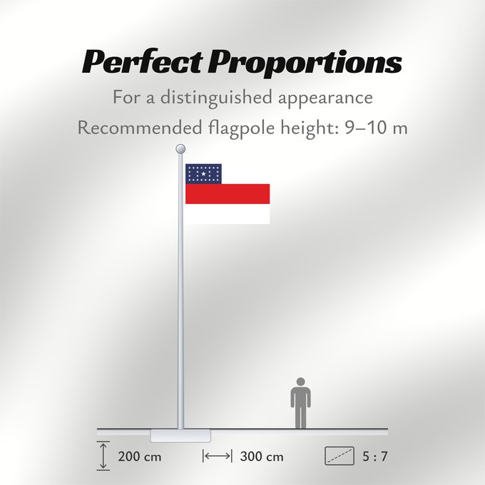 Flag Proportions: Amazonas Amazonas, state of Brazil L’Amazonas, état du Brésil Amazonas, Brasil Amazonas, stato del Brasile Estado do Amazonas, Brasil علم أمازوناس، دولة البرازيل Σημαία της Αμαζόνας پرچم آمازوناس دولت برزیل דגל אמסונס, מדינת ברזיל अमेज़न Banyè fanmi Amazo