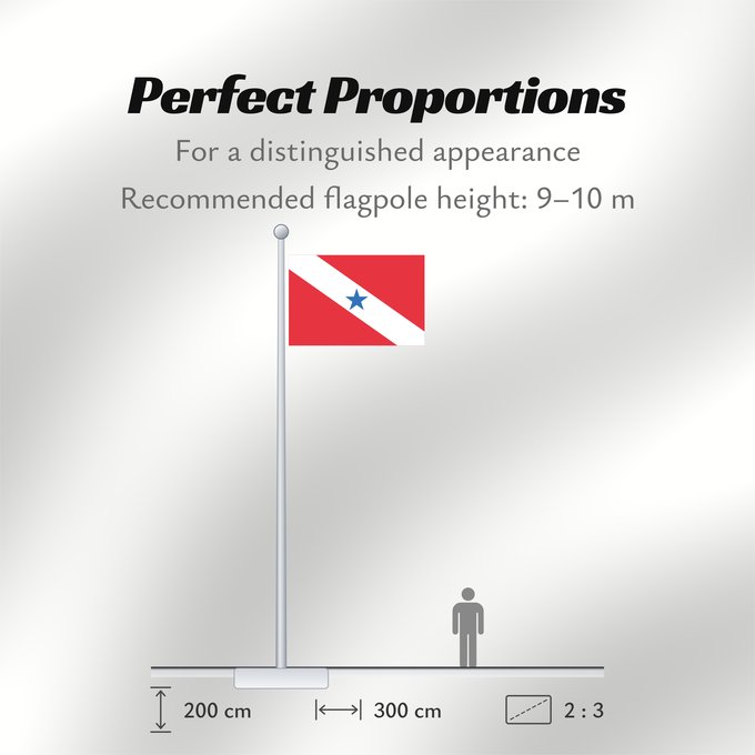 Flag Proportions: Pará