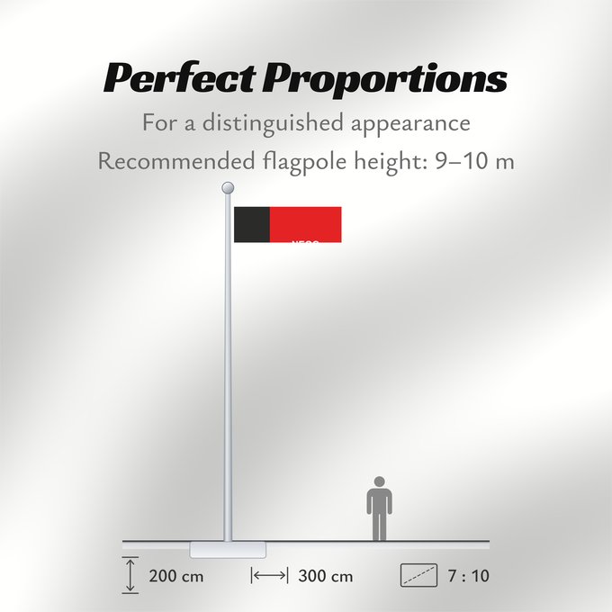 Flag Proportions: Paraíba