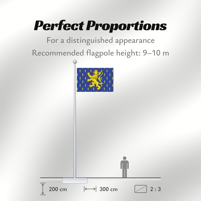 Flag Proportions: Franche-Comté