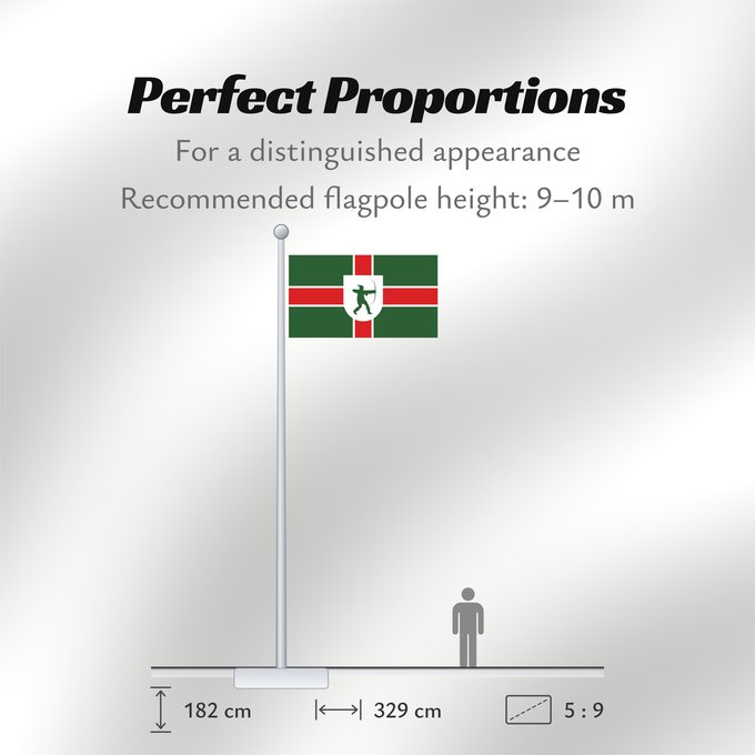 Flag Proportions: County Flag of Nottinghamshire	Nottinghamshire	Snotingahāmscīre fana