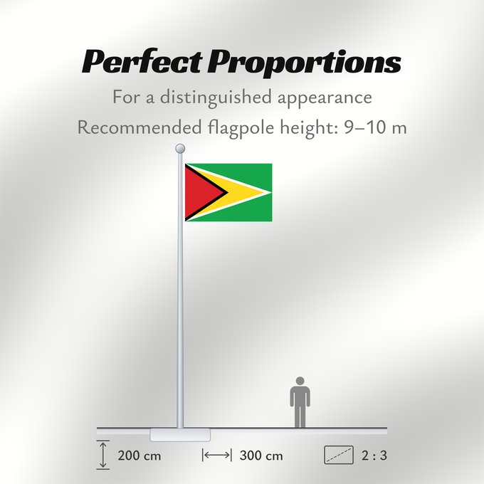 Flag Proportions: Guyana Guiana Wayana wiphala Gujano Gwayana Wayana unancha Флаг Гайаны Guyanas Quốc kỳ Guyana