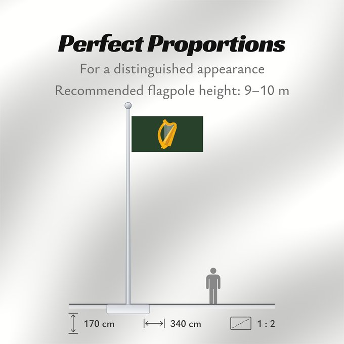 Flag Proportions: Leinster	W Leinster
