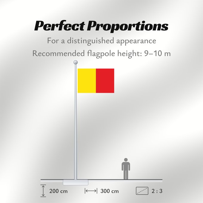 Flag Proportions: Naples Province of Naples Province de Naples Provincia de Naples Provinz Naples Napoli