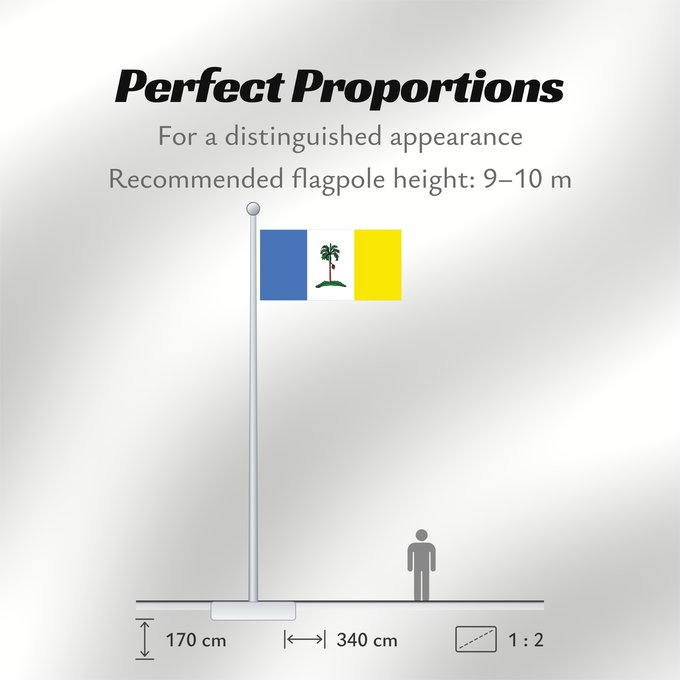 Flag Proportions: Pulau Pinang