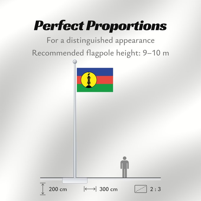 Flag Proportions: FLNKS Kanak and Socialist National Liberation Front political party Front de libération nationale kanak et socialiste Colores Pantone http //www Neukaledonien Nuova Caledonia Front d Alliberament Nacional Canac Socialista