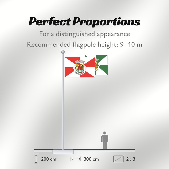 Flag Proportions: Leiria