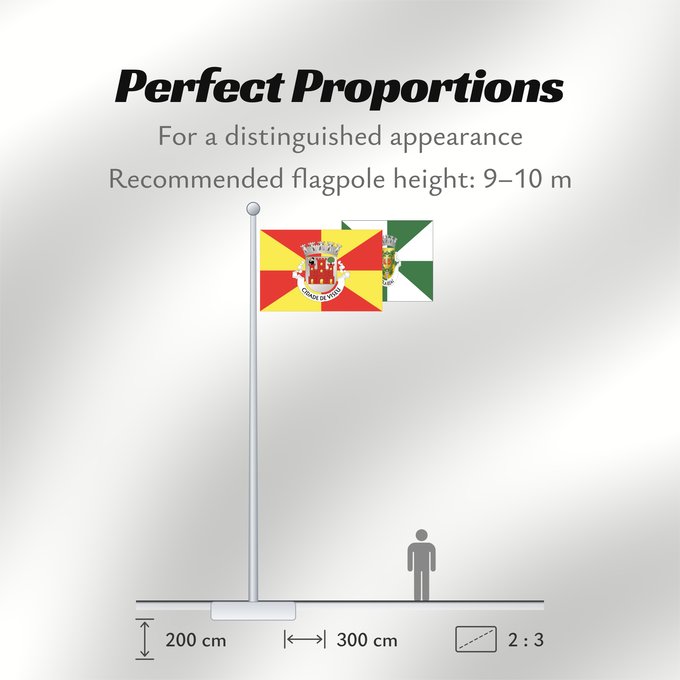 Flag Proportions: Viseu