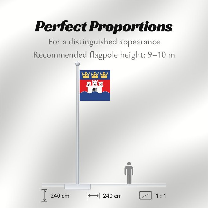 Flag Proportions: Jönköpings län vapenflagga	Jönköping County in Sweden	Jönköping	Jönköpings läns vapenflagga