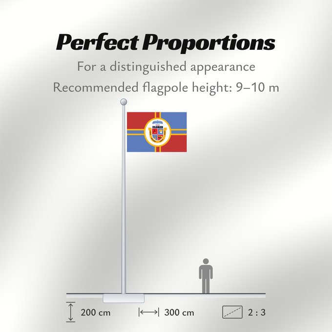 Flag Proportions: Flores Department	Flores