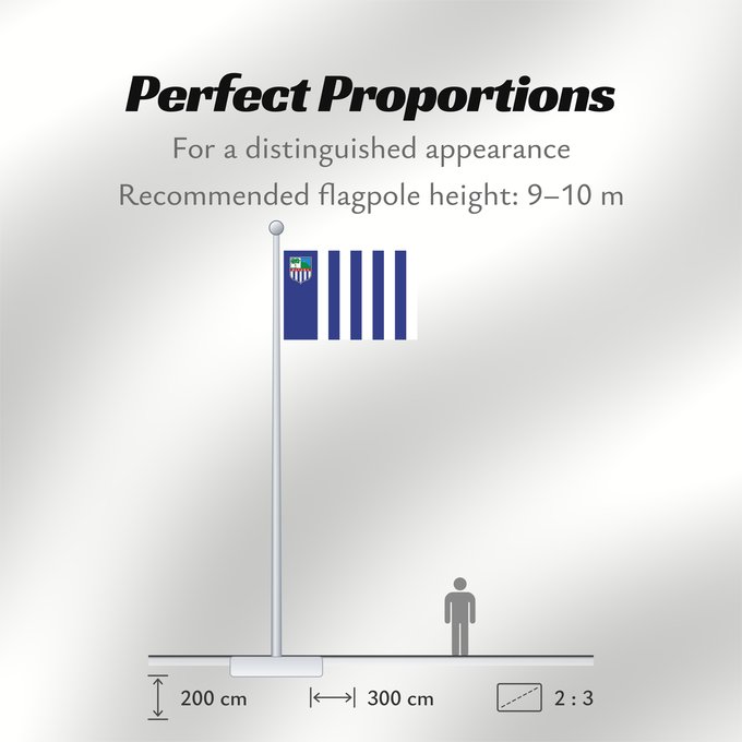 Flag Proportions: Rivera Department Rivera