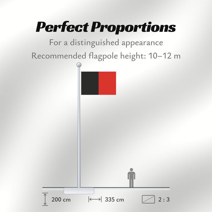 Flag Proportions: Namur Province Namur Shows the flag of the province of Namur in Belgium