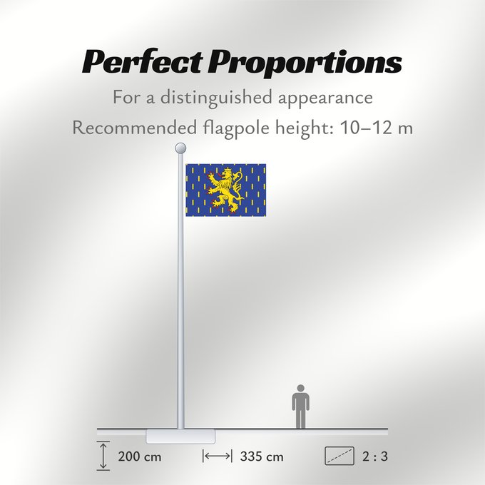 Flag Proportions: Franche-Comté