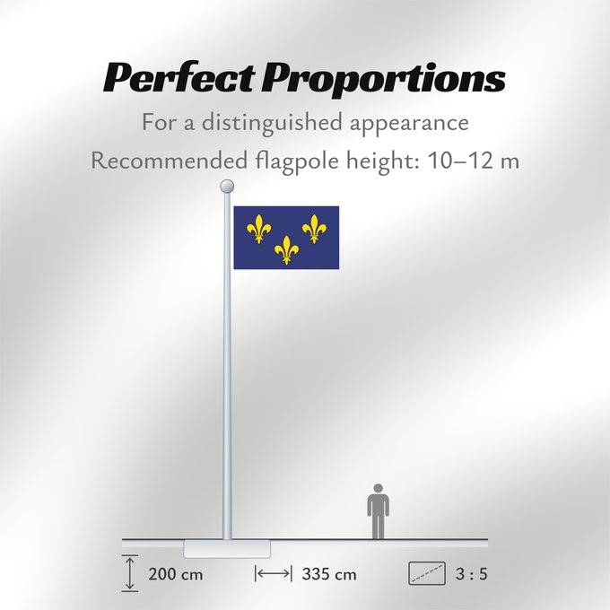 Flag Proportions: Île-de-France Unofficial Non-officiel de la région Île-de-France en France 이 것은 일드프랑스의 깃발입니다