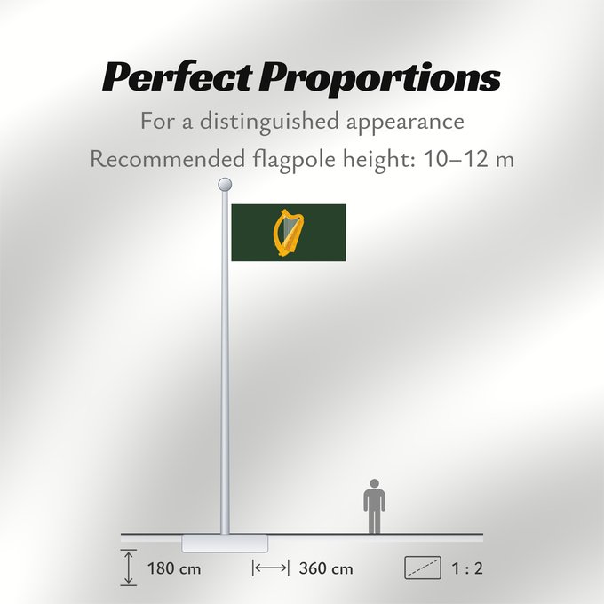Flag Proportions: Leinster	W Leinster