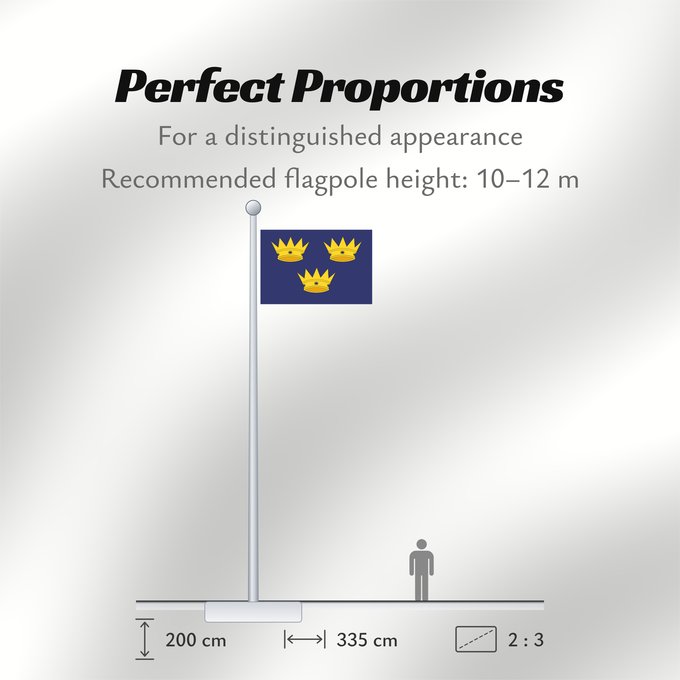 Flag Proportions: Munster
