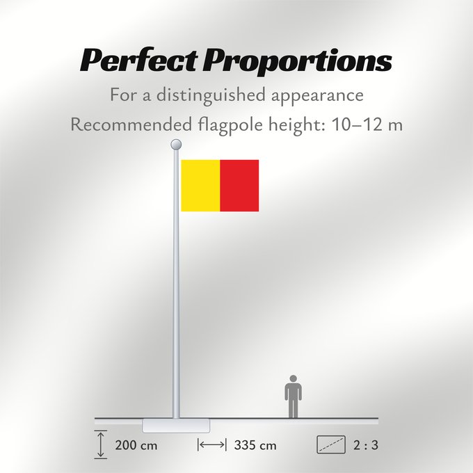Flag Proportions: Naples Province of Naples Province de Naples Provincia de Naples Provinz Naples Napoli