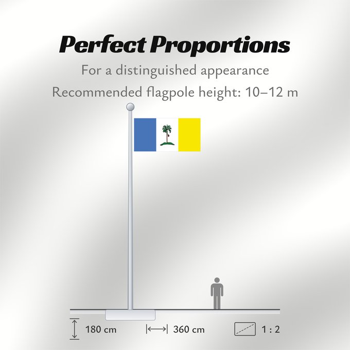 Flag Proportions: Pulau Pinang