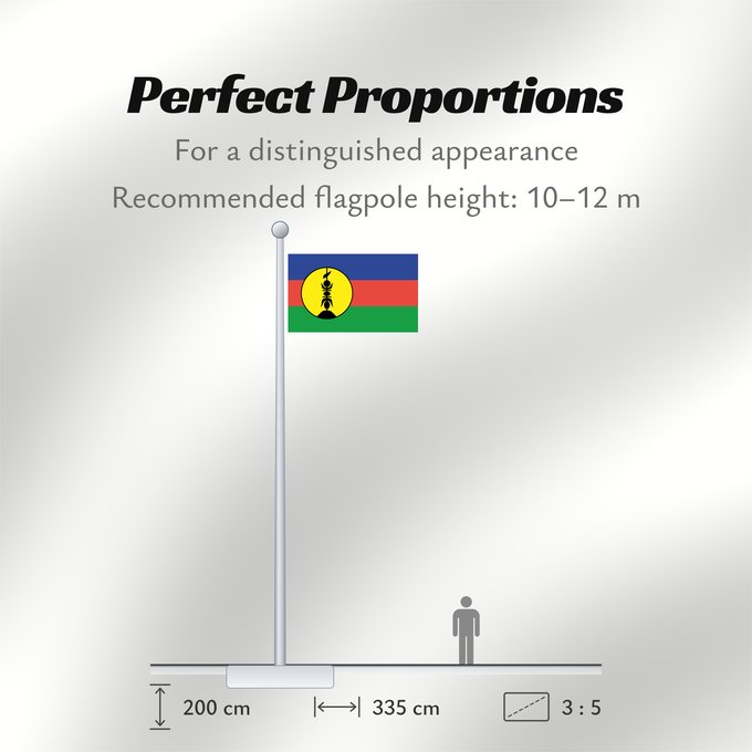 Flag Proportions: FLNKS Kanak and Socialist National Liberation Front political party Front de libération nationale kanak et socialiste Colores Pantone http //www Neukaledonien Nuova Caledonia Front d Alliberament Nacional Canac Socialista