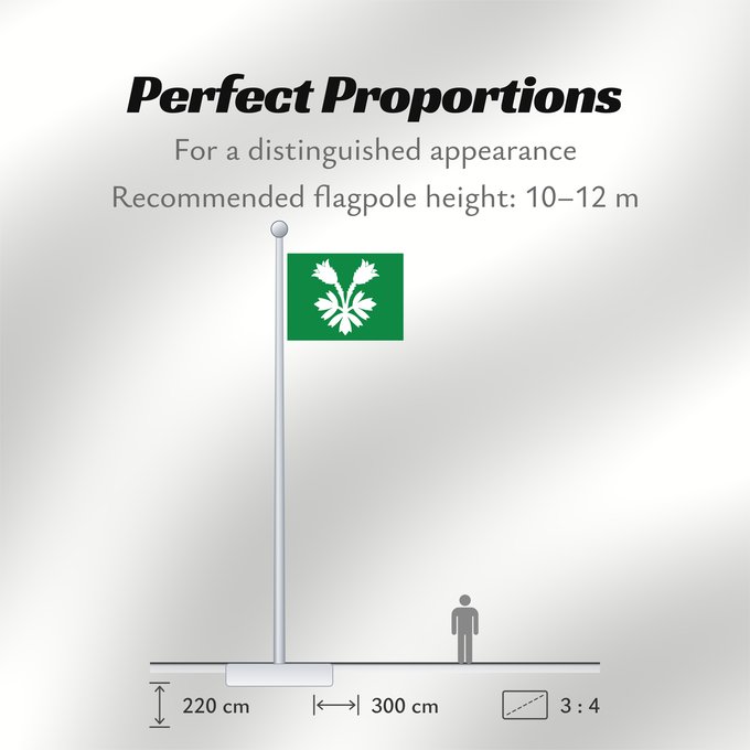 Flag Proportions: Oppland Former county of Oppland, Norway comté d’Oppland