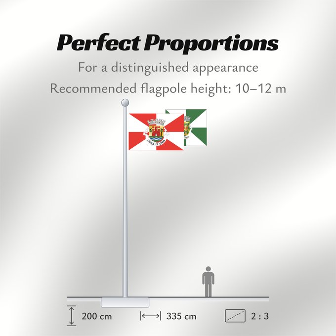 Flag Proportions: Leiria