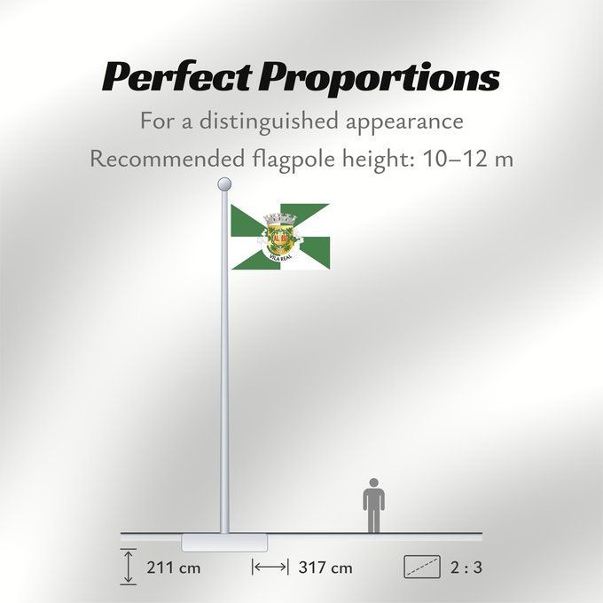 Flag Proportions: Vila Real