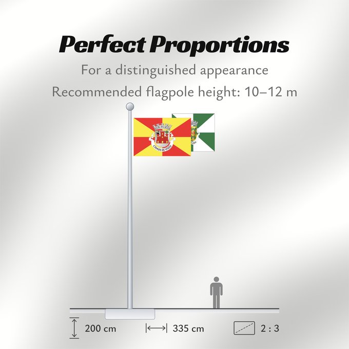 Flag Proportions: Viseu