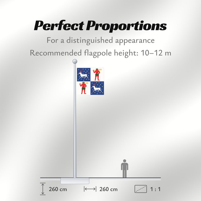 Flag Proportions: Norrbottens län vapenflagga Norrbotten County in Sweden Norrbotten Norrbottens läns vapenflagga