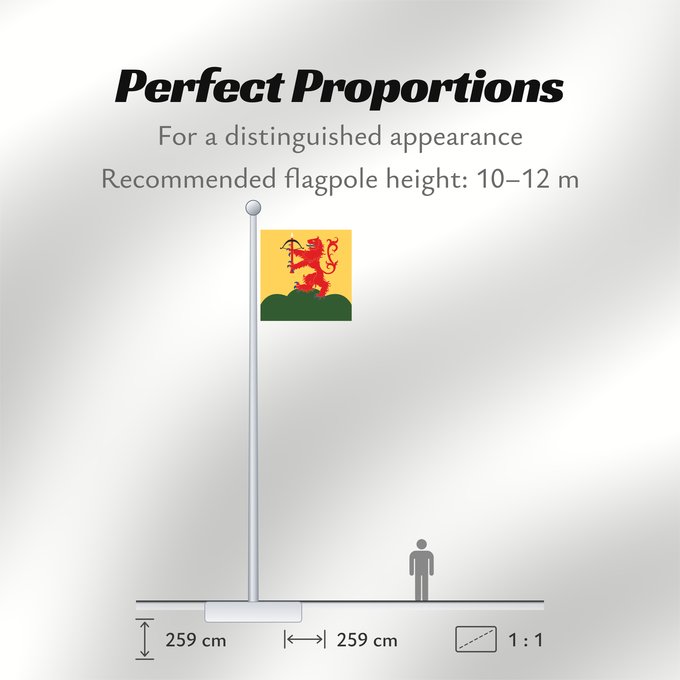 Flag Proportions: Kronobergs län vapenflagga Kronoberg County in Sweden Kronoberg Provincia de Kronoberg Kronobergs läns vapenflagga
