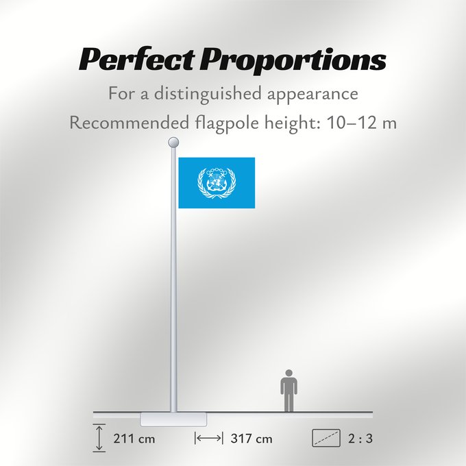 Flag Proportions: International Maritime Organization